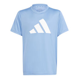 Tenisové Oblečení adidas Train Essentials AEROREADY Logo Regular-Fit T-Shirt